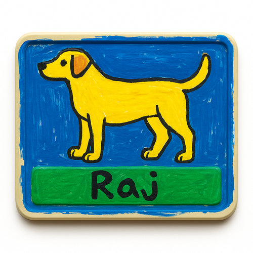 Raj, Boston, MA, USA