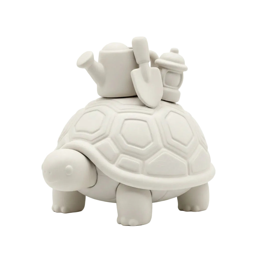 Moss the Garden Tortoise