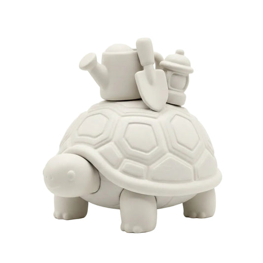 Moss the Garden Tortoise
